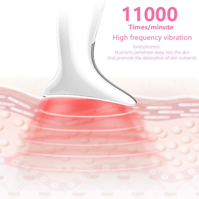 Neck Beauty Device & Color Light Rejuvenation