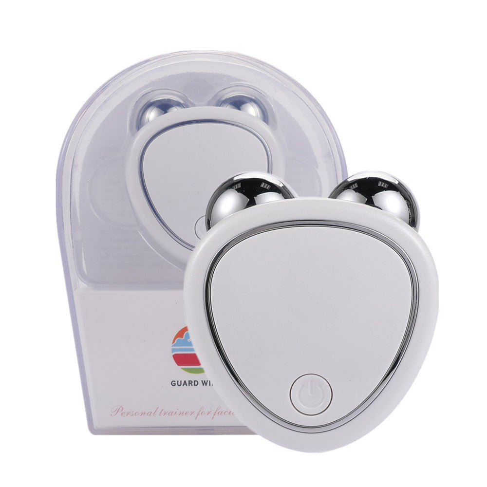 Micro-current Double Roller Facial Massager