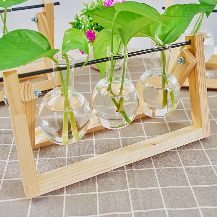 Tabletop Glass Planter Propagation Station