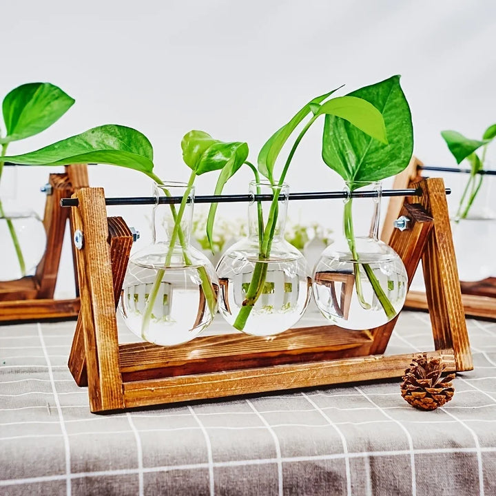 Tabletop Glass Planter Propagation Station