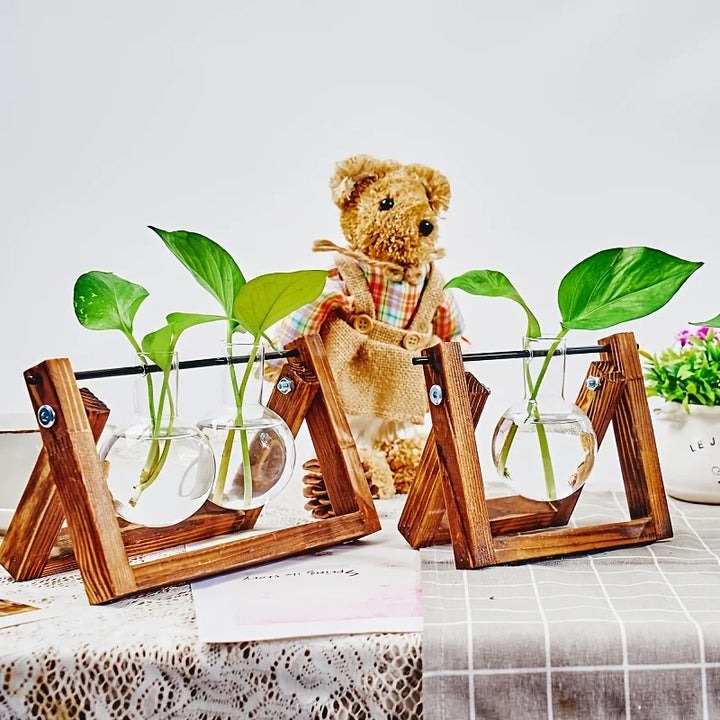 Tabletop Glass Planter Propagation Station