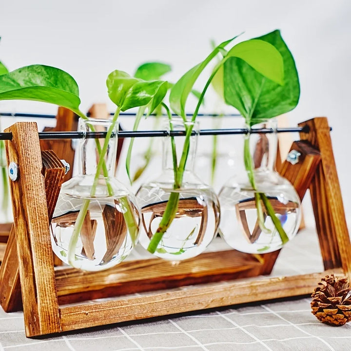 Tabletop Glass Planter Propagation Station