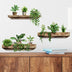 Potted Plant Art Decorations Wall Stickers