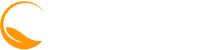 Allzom