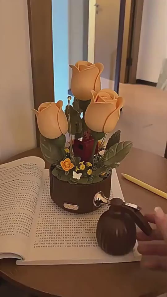 Load video: CJYD2550629-1